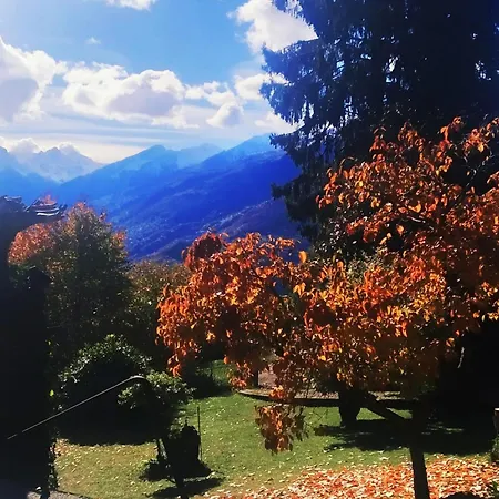 Serok: Casa Nel Bosco Con Bio Sauna * Civo