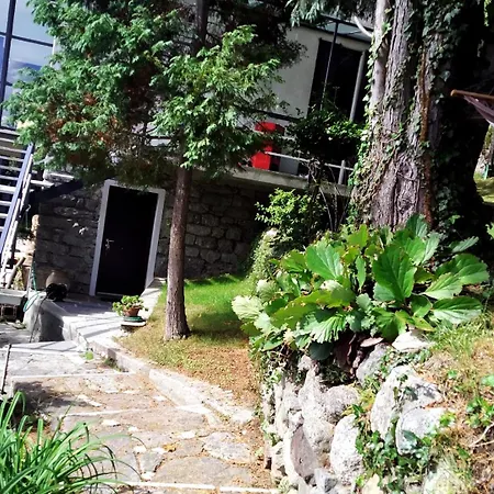 Serok: Casa Nel Bosco Con Bio Sauna Civo